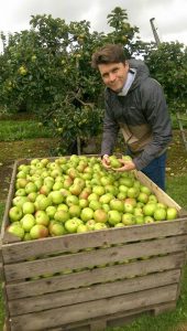 Greg MacNeice, a fifth generation apple grower and cider maker checking the crop of this year's harvest at his orchards at Ardress, County Armagh from where he produces Irish Craft Cider.